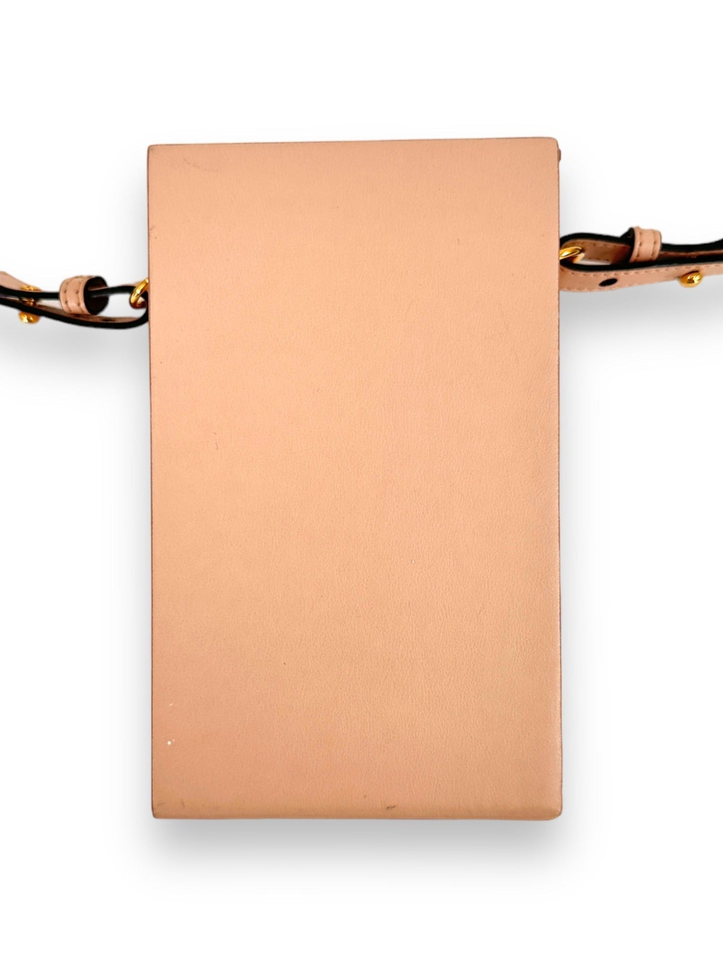 FENDI Pink Crossbody Box Bag