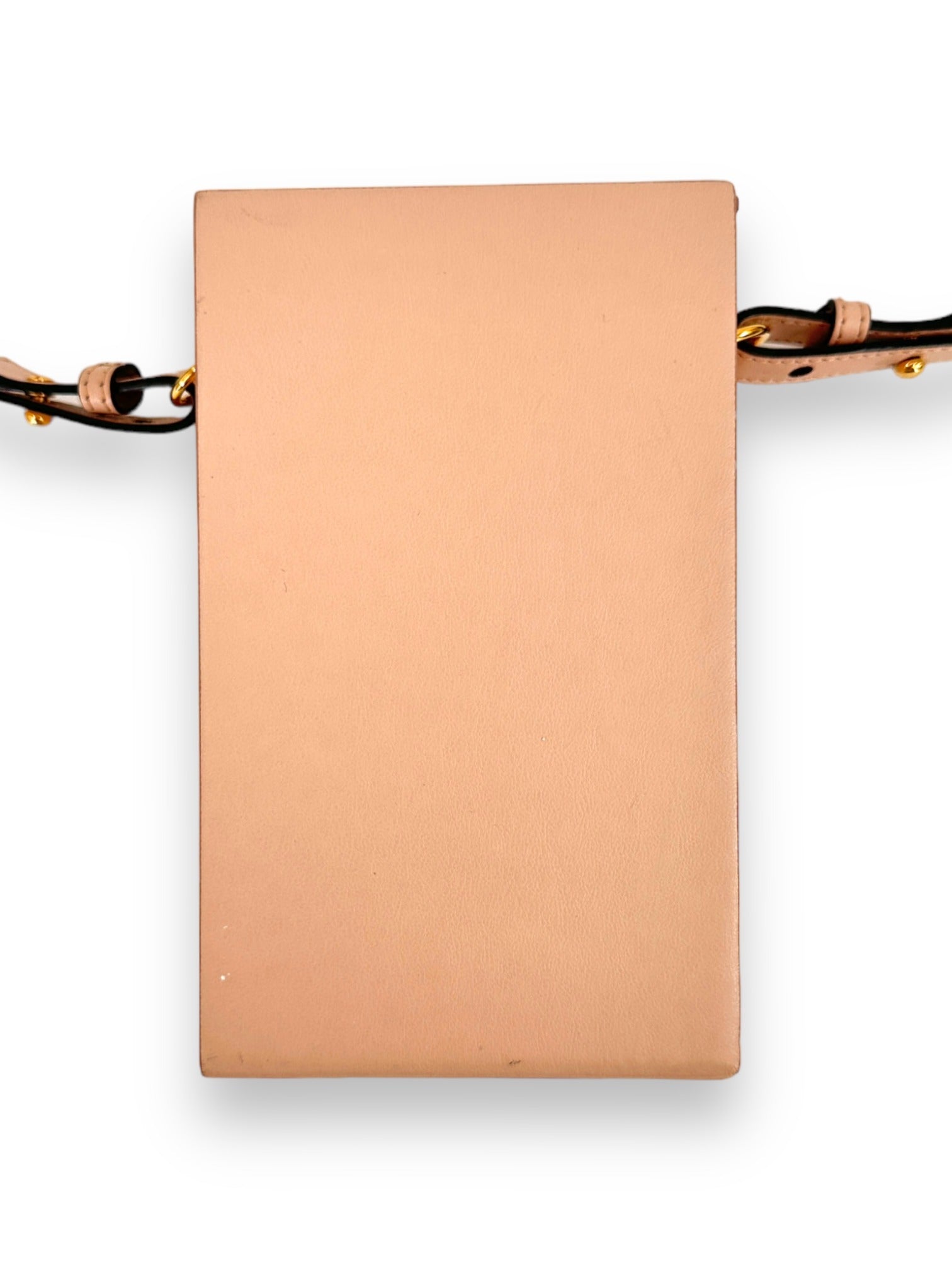 FENDI Pink Crossbody Box Bag