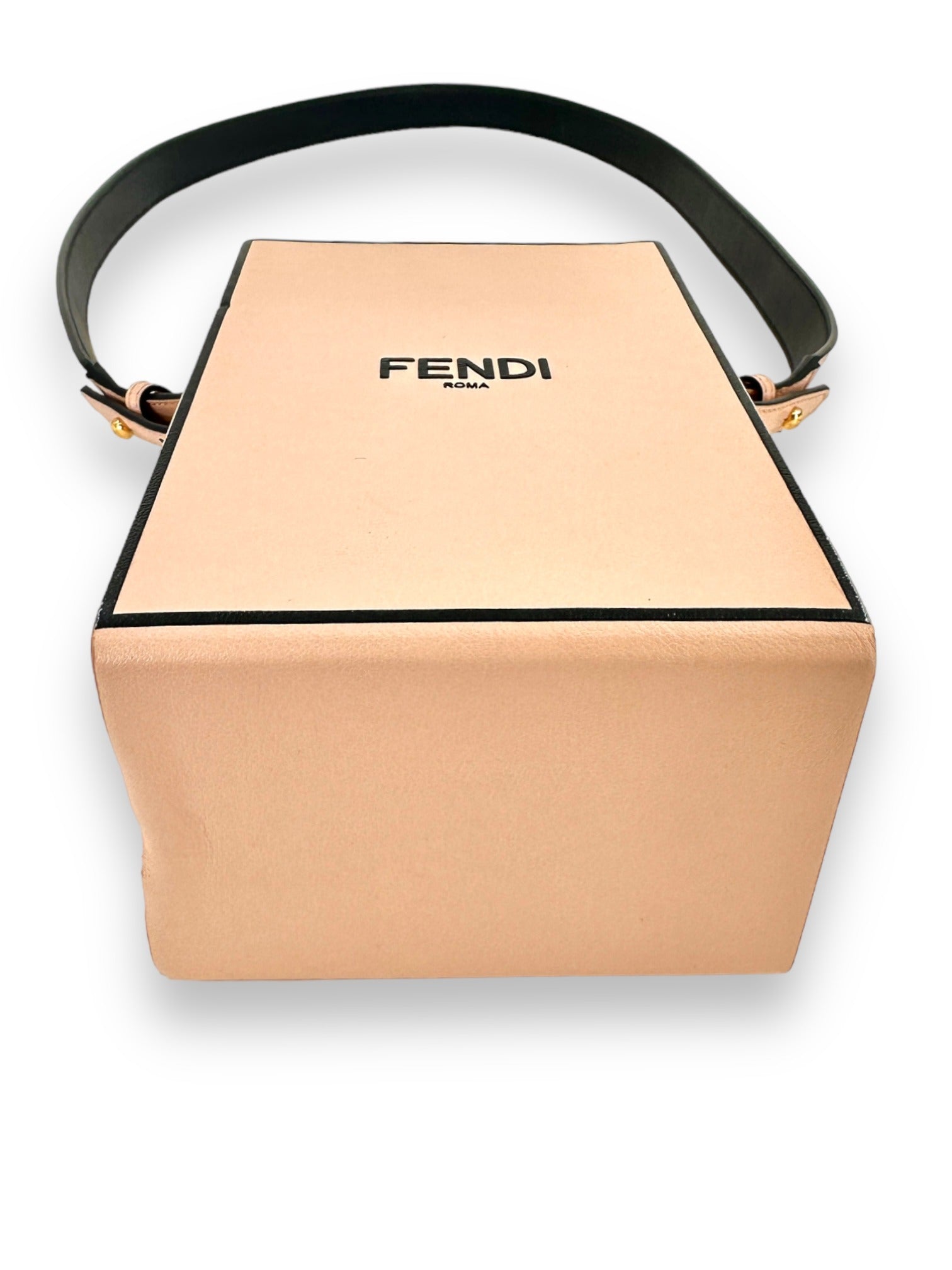 FENDI Pink Crossbody Box Bag